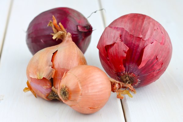Ссылка кракен андроид onion top
